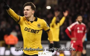 วูล์ฟส์